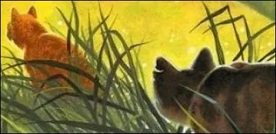 Dans le tome "Une Sombre Prophétie", l'assassin d'Étoile du Tigre est :