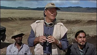 D'où vient cette photo, extraite d'un film avec John Wayne ?