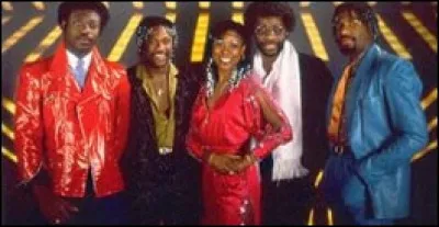 Quelle chanteuse, interprète de ''What's Love Got to Do with It'', a repris ''I Can't Stand the Rain'' d'Eruption dans son best of intitulé ''Simply the Best'' ?