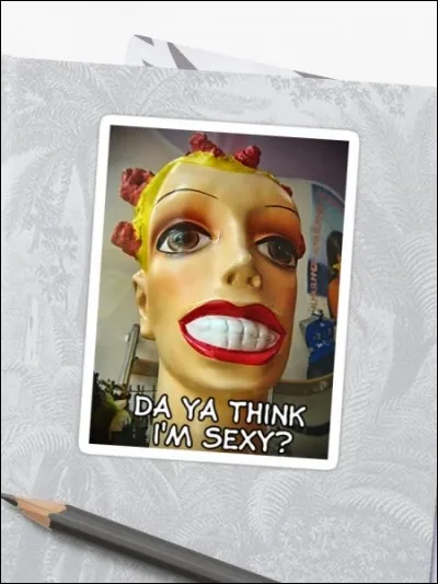 Qui a chanté ''Da Ya Think I'm Sexy? '' ?