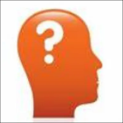 Quel est le comportement qui te d&eacute;signe le mieux ?