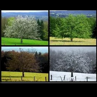 Quelle est ta saison pr&eacute;f&eacute;r&eacute;e ?