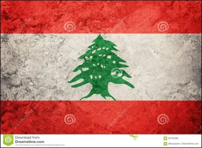 Quel est ce drapeau ?