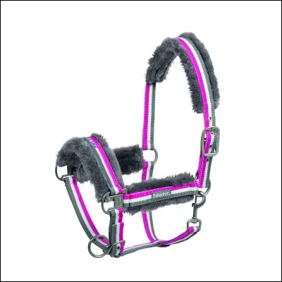 Comment s'appelle cet objet ?