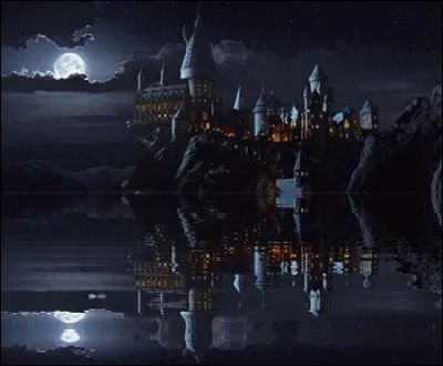 Quel est ton professeur favori ?