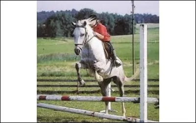 Comment s'appellent les petits obstacles ?