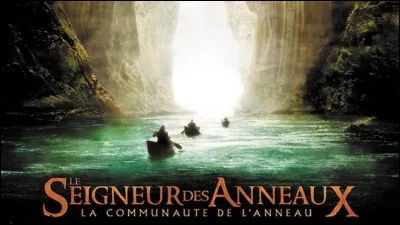 À la fin du 1er volet la Communauté se dissout, Frodon et Sam vont au Mordor détruire l'Anneau Unique, tandis que Aragorn, Legolas et Gimli vont...