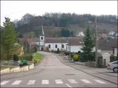 Nous terminons cette première partie en Moselle-Est, à Varsberg. Village localisé dans les régions naturelles du Warndt et du pays de Nied, il se situe dans l'ancienne région ...