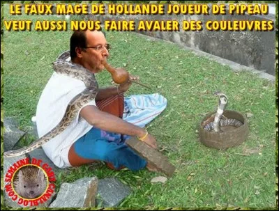 Avaler des couleuvres !