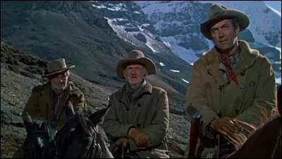 Qui a réalisé le western "Je suis un aventurier" (1954) avec James Stewart ?