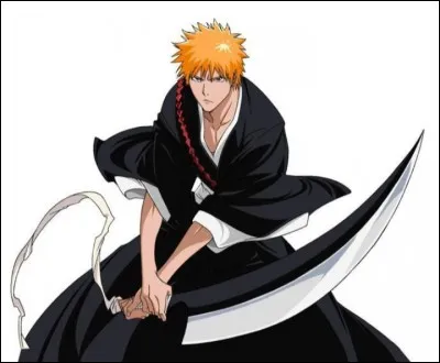 Comment s'appelle le personnage principal de Bleach ?