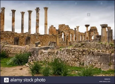 Volubilis est une cité antique située...
