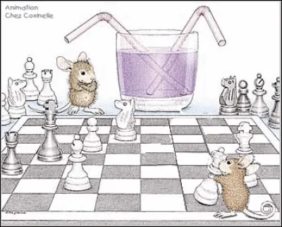 À quoi jouent nos souris ?