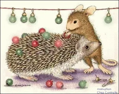 Avec quel animal voisine notre souris ?