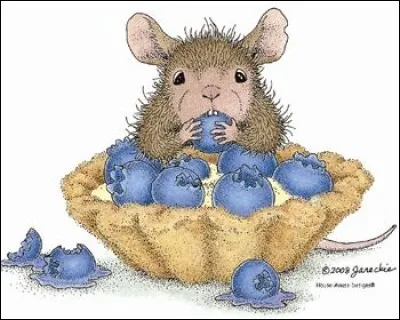 Que mange notre souris ?