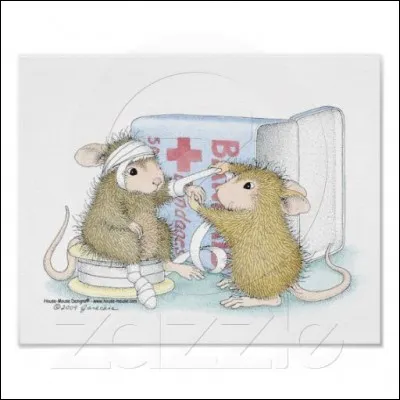 Notre souris est blessée, heureusement une autre souris la soigne. Autour de quoi lui entoure-t-elle une bande ?