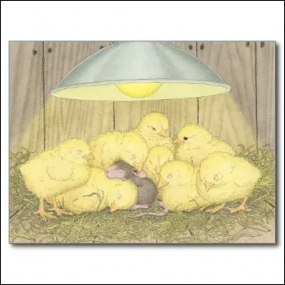 Au milieu de qui notre souris dort-elle ?