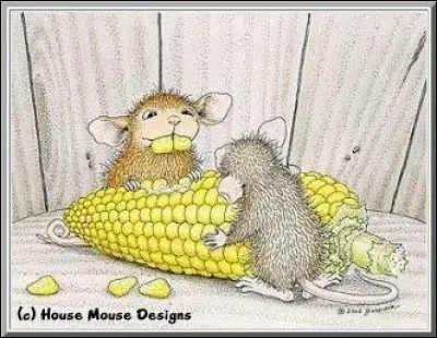 Que grignotent nos amies souris ?