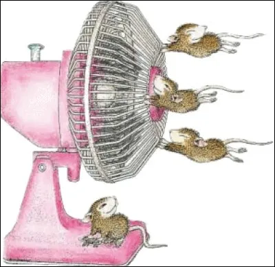 Avec quoi nos souris se rafraîchissent-elles ?