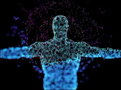 Quelle partie du corps est toujours atteinte lors de la phase d'état ?