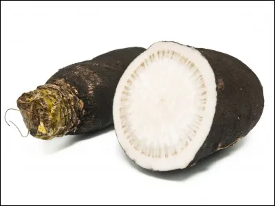 Dans le mot centimètre, "mètre" est un...