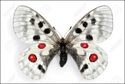 Qui donna à Cassandre ses facultés de divination ?