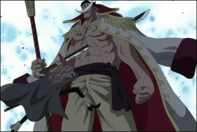 Par qui Barbe Blanche se fait-il embroch&eacute;, lors de la bataille de Marine Ford ?