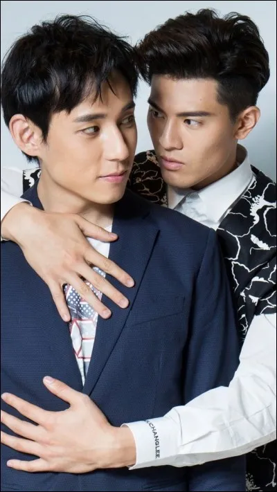 De quelle série fait partie ce couple ?