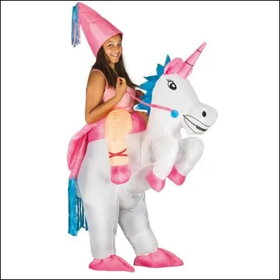 Pour l'anniversaire d'un(e) ami(e), tu dois te déguiser avec un déguisement commençant par un "V", que choisis-tu ?