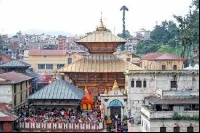 Salut les Collègues ! Pour cause de burn-out, je me retire dans un temple au/en...