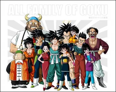 Quel est le travail de la m&egrave;re de Goku ?