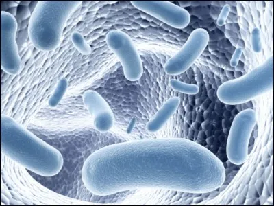 La période d'incubation de la maladie dure :