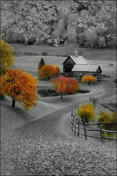 Qui est le compositeur et interprète des paroles "Juste une question, est-ce que ça dure toujours", extraites de la chanson "Les Gens absents" ?