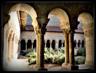 Les colonnes du cloître de la cathédrale Sainte-Eulalie et Sainte-Julie sont ornés de motifs végétaux et animaliers. Certains chapiteaux sont historiés. Où se trouve ce cloître ?