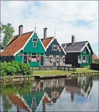 Compl&eacute;tez le surnom des Pays-Bas avec un nom de fleur : Le pays des...