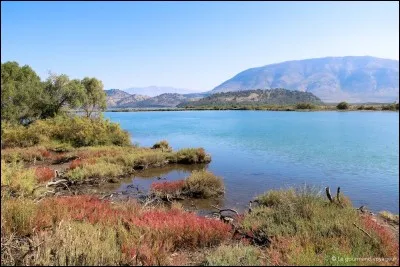 Quel oiseau sert de surnom &agrave; l'Albanie ? Le pays des ...