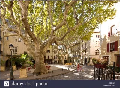 Dans quel département se situe Beaucaire ?