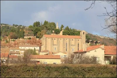 Dans quel département se situe Laudun-l'Ardoise ?