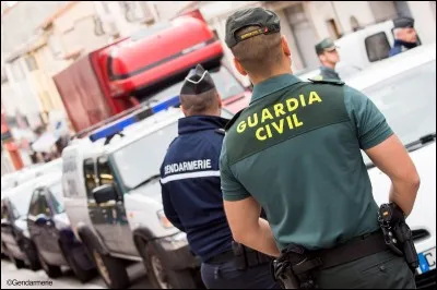 Existe-t-il plusieurs autre unités de gendarmes dans d'autres pays ?