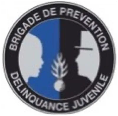 Qu'est-ce qu'une B.P.D.J ?