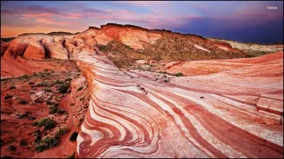 Quel est le radical du mot "sinusoïde" ?