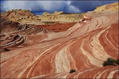 Que rajoute-t-on à "séma-" pour avoir ce qui porte ?