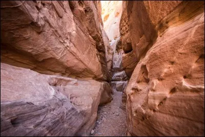 Que place-t-on avant le radical "moral" pour avoir son contraire ?