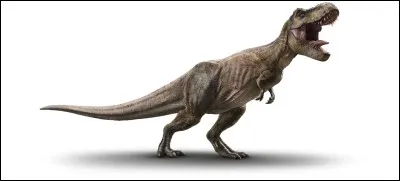 Combien de T-Rex différents ont été créés ?