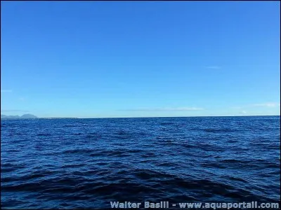 Que fais-tu quand tu te baignes dans la mer ?