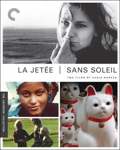 Quel est le titre de ce film américain, remake du film français "La Jetée" ?