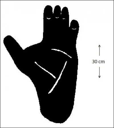 Quel animal se cache derrière cette empreinte ?