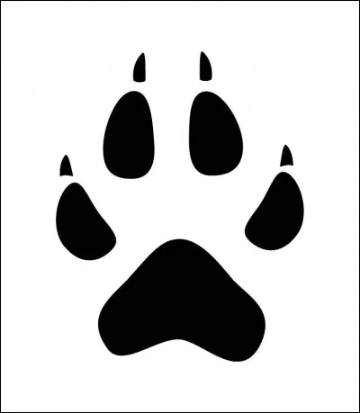 Quel animal se cache derrière cette empreinte ?