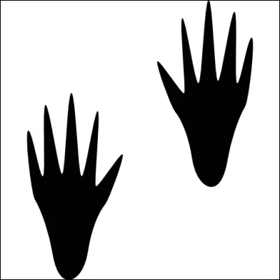 Quel animal se cache derrière cette empreinte ?