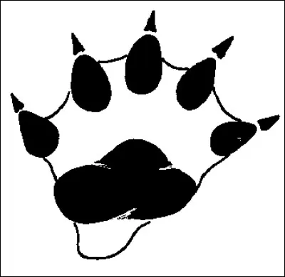 Quel animal se cache derrière cette empreinte ?